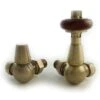 Towelrads Corner TRV & Lockshield - Antique Brass With Brown Handle - 129060 -Dimplexs Zone t o towelrads 129060